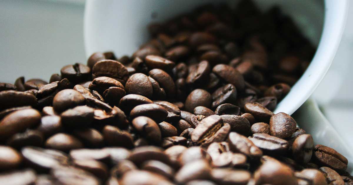 コーヒー品種ーアラビカ種とは