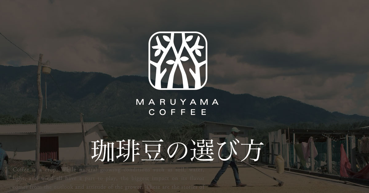 丸山珈琲のコーヒー豆の選び方